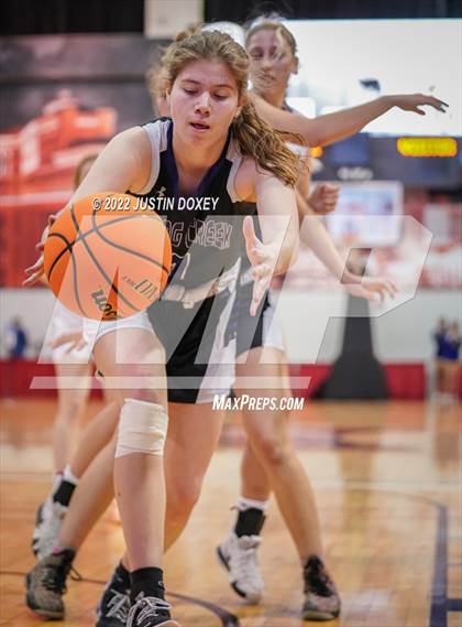 Thumbnail 2 in Spring Creek vs. Lowry (NIAA Class 3A State Girls Final) photogallery.