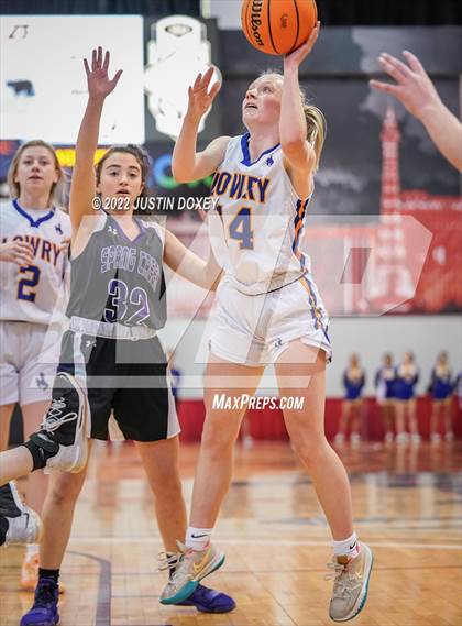 Thumbnail 3 in Spring Creek vs. Lowry (NIAA Class 3A State Girls Final) photogallery.