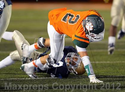 Thumbnail 2 in Poly vs. JW North photogallery.