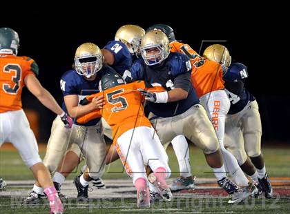 Thumbnail 1 in Poly vs. JW North photogallery.
