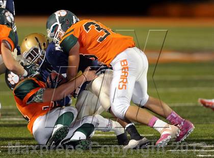 Thumbnail 1 in Poly vs. JW North photogallery.