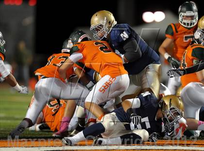 Thumbnail 1 in Poly vs. JW North photogallery.