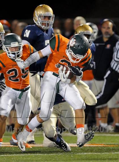 Thumbnail 1 in Poly vs. JW North photogallery.