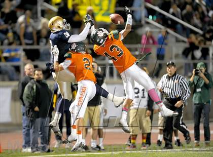 Thumbnail 3 in Poly vs. JW North photogallery.
