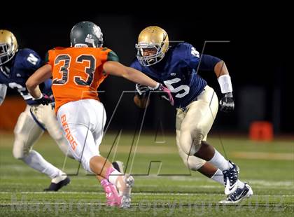 Thumbnail 1 in Poly vs. JW North photogallery.