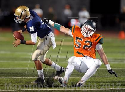 Thumbnail 3 in Poly vs. JW North photogallery.