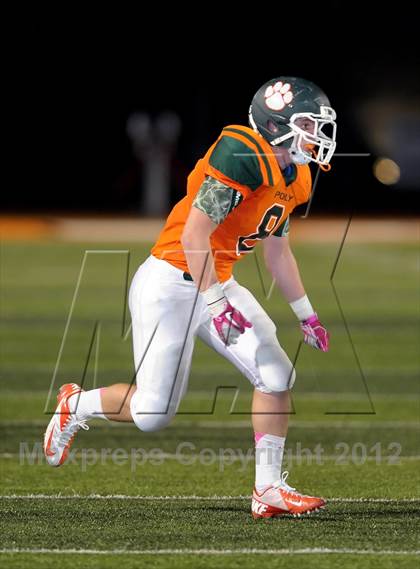 Thumbnail 2 in Poly vs. JW North photogallery.