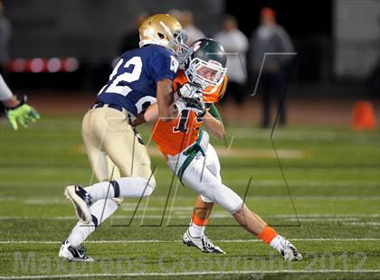 Thumbnail 1 in Poly vs. JW North photogallery.