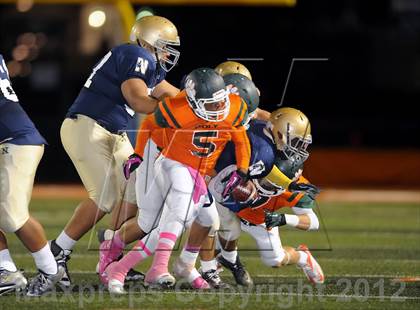 Thumbnail 1 in Poly vs. JW North photogallery.