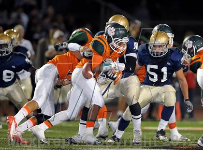 Thumbnail 1 in Poly vs. JW North photogallery.