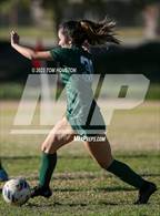 Photo from the gallery "Westminster @ Temple City (CIF-SS D4 Wildcard)"
