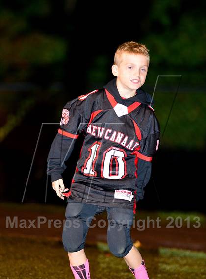 Thumbnail 3 in Chicopee @ New Canaan photogallery.