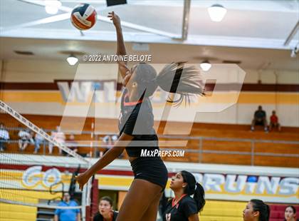 Thumbnail 2 in Harvard-Westlake @ Woodrow Wilson photogallery.