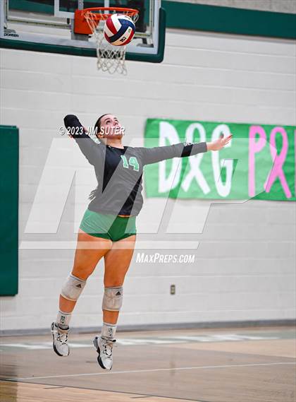 Thumbnail 1 in Brenham vs College Station photogallery.
