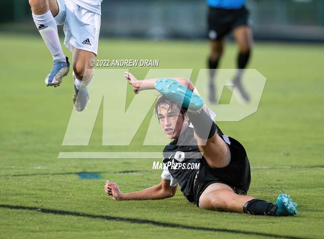 null - Photo 01