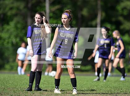 Thumbnail 3 in Panther Creek @ Holly Springs photogallery.