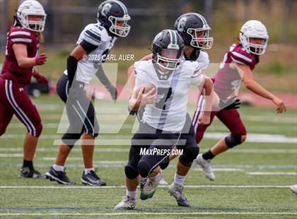 Thumbnail 3 in JV: Conifer @ Golden photogallery.