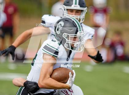 Thumbnail 3 in JV: Conifer @ Golden photogallery.