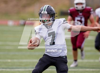 Thumbnail 2 in JV: Conifer @ Golden photogallery.