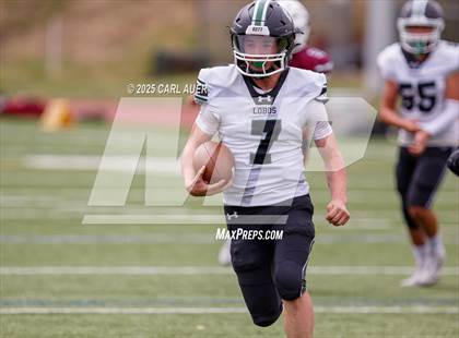 Thumbnail 1 in JV: Conifer @ Golden photogallery.