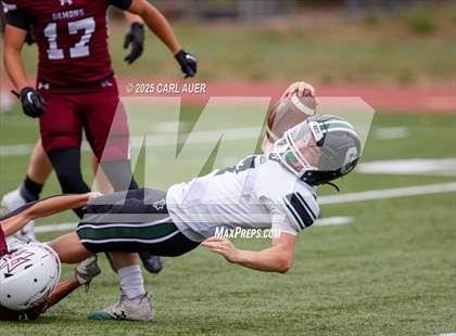 Thumbnail 1 in JV: Conifer @ Golden photogallery.