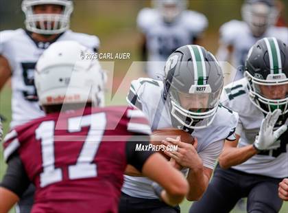 Thumbnail 1 in JV: Conifer @ Golden photogallery.