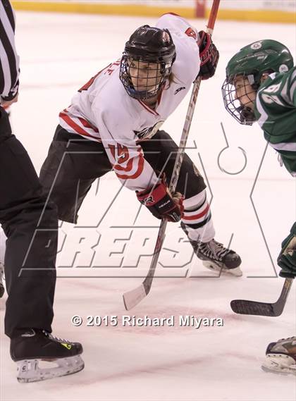 Thumbnail 1 in Dover vs Spaulding (NHIAA D2 Final) photogallery.