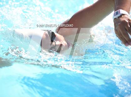 Thumbnail 3 in Kofa @ Gila Ridge photogallery.