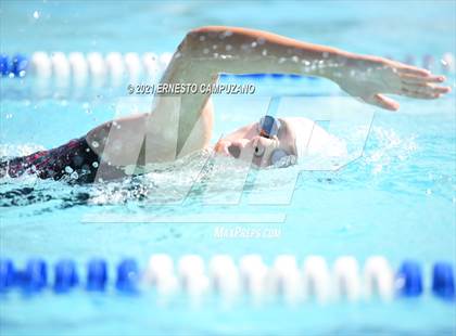 Thumbnail 1 in Kofa @ Gila Ridge photogallery.