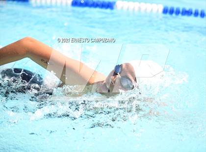 Thumbnail 1 in Kofa @ Gila Ridge photogallery.
