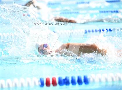 Thumbnail 3 in Kofa @ Gila Ridge photogallery.