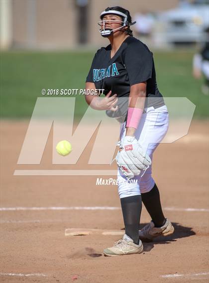 Thumbnail 1 in Sultana vs. Great Oak (Stu Penter Classic) photogallery.