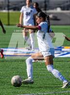 Photo from the gallery "West @ Cyprus"