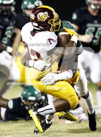 Thumbnail 3 in Tyner Academy @ East Hamilton photogallery.