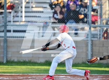 Thumbnail 1 in Crane @ Tornillo photogallery.