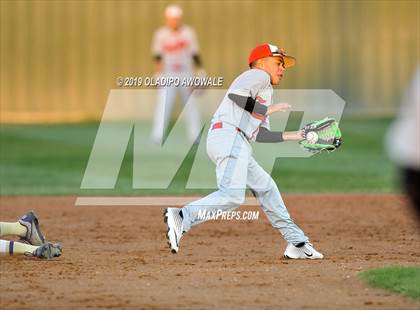 Thumbnail 2 in Crane @ Tornillo photogallery.