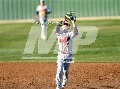 Thumbnail 1 in Crane @ Tornillo photogallery.