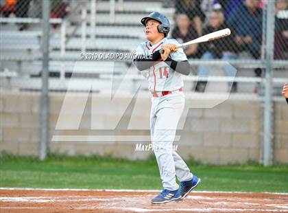 Thumbnail 1 in Crane @ Tornillo photogallery.