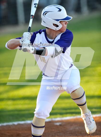 Thumbnail 3 in Crane @ Tornillo photogallery.