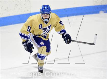 Thumbnail 1 in E.O. Smith/Tolland vs. Newtown (CIAC DIII Final) photogallery.