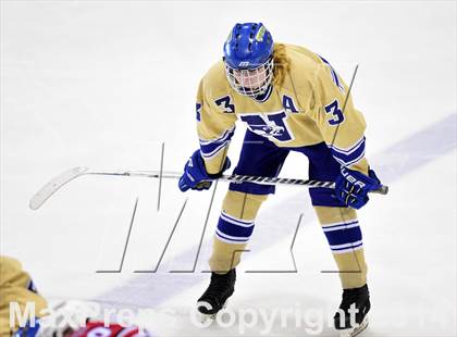 Thumbnail 3 in E.O. Smith/Tolland vs. Newtown (CIAC DIII Final) photogallery.