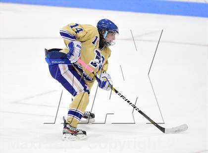 Thumbnail 3 in E.O. Smith/Tolland vs. Newtown (CIAC DIII Final) photogallery.