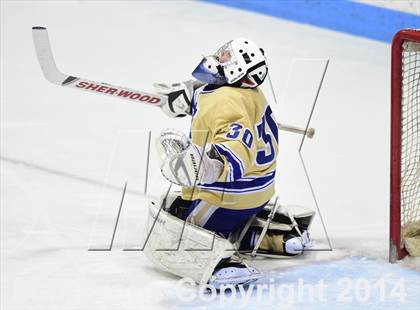 Thumbnail 3 in E.O. Smith/Tolland vs. Newtown (CIAC DIII Final) photogallery.