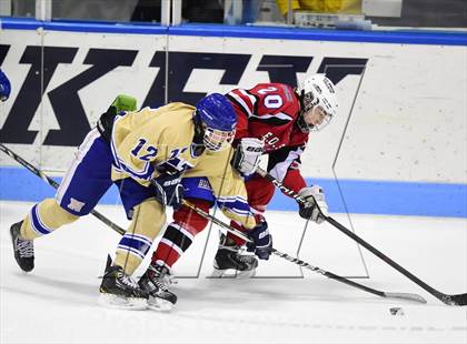 Thumbnail 1 in E.O. Smith/Tolland vs. Newtown (CIAC DIII Final) photogallery.