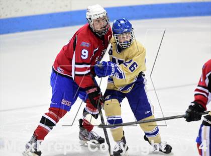 Thumbnail 3 in E.O. Smith/Tolland vs. Newtown (CIAC DIII Final) photogallery.
