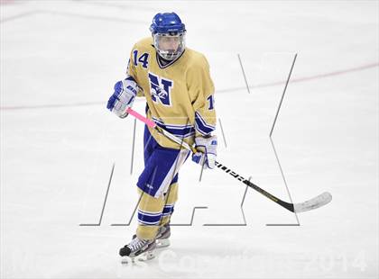 Thumbnail 1 in E.O. Smith/Tolland vs. Newtown (CIAC DIII Final) photogallery.