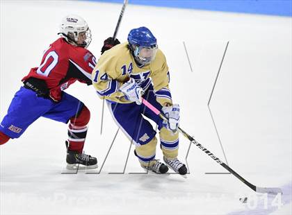 Thumbnail 3 in E.O. Smith/Tolland vs. Newtown (CIAC DIII Final) photogallery.