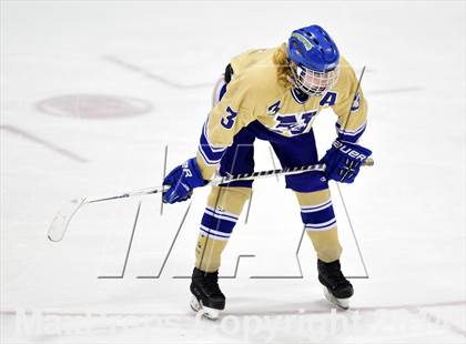 Thumbnail 1 in E.O. Smith/Tolland vs. Newtown (CIAC DIII Final) photogallery.