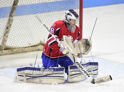 Thumbnail 1 in E.O. Smith/Tolland vs. Newtown (CIAC DIII Final) photogallery.