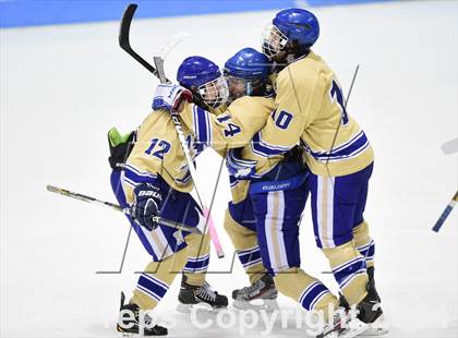 Thumbnail 2 in E.O. Smith/Tolland vs. Newtown (CIAC DIII Final) photogallery.